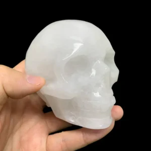 Natural Clear Quartz Skull
