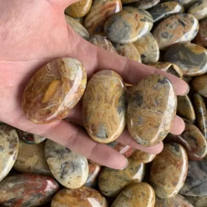 Natural Crazy Agate Palm Stone
